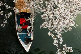 金圣华：桑榆客东游记 | 人来人往图片