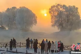 通讯：塞外青城逐绿记图片