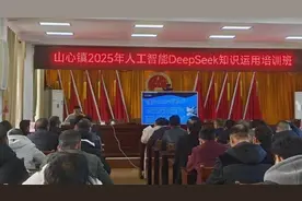 DeepSeek政务应用新场景：广西一地称用其识别潜在返贫风险图片