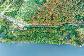 收下这份攻略，解锁雨林新玩法图片