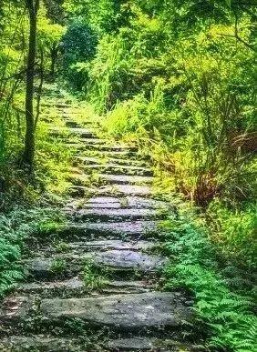 跟着赛事游乳源 | 抓住假期的尾巴，来走走这七条精品骑行徒步路线吧！