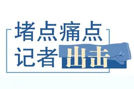 草坪上烧烤、沙滩上遛狗、景区路灯不亮......美中不足，沿海景区需“补妆”图片