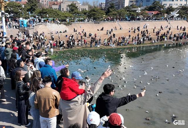 清明假期首日：青岛老城“人从众”