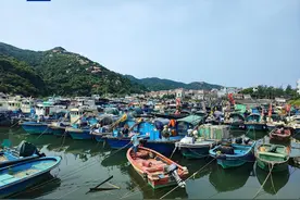 防御台风“摩羯” 广东8万余艘渔船回港避风图片