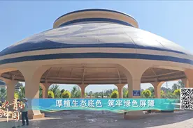 【中央媒体看甘肃】绘就黄河之滨的绿色“兰”图图片