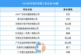 2024年东莞市民营工业企业100强图片
