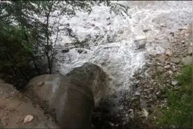 黑臭水体真的治不了？中央生态环保督察通报5省环境基础设施建设短板图片