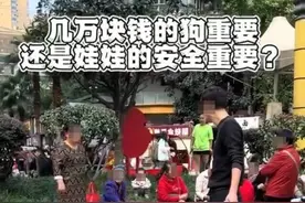 网传男子遛狗吓哭幼童并起争执 警方：犬主已道歉图片