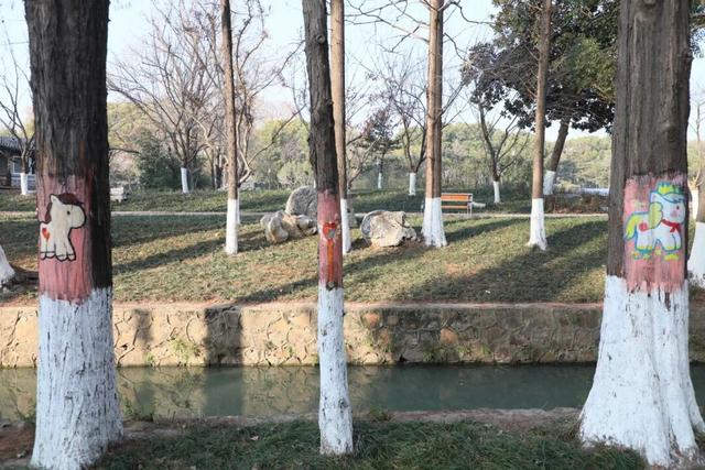 涂鸦上新！快来马鞍山这些公园打卡