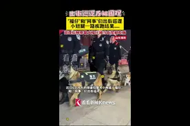 柯基警犬“福仔”巡逻反被包围 网友：期待转正！图片