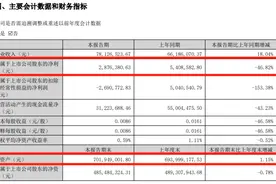 罕见“B转A”！又一重磅并购重组来了，明起停牌图片