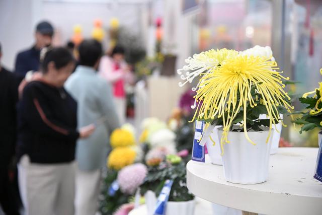 北京：秋日出游正当时