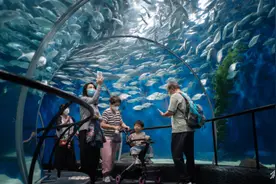 上海旅游节半价优惠来袭，游客纷至沓来，在浦东金融区经历“海底两万里”图片