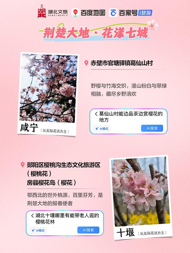 暴雨将停，AI赏花一键直达！