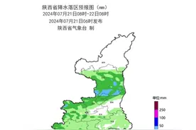 临时管控！陕西最新通知！出行注意！明早请提前图片