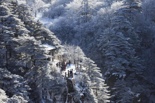 黄山冬雪预测手册，快收藏！