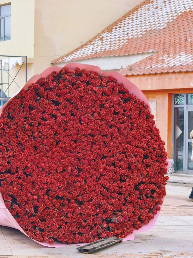 别问冷不冷，就问明天10点哈素海你到不到！冬捕、温泉、美食这里全！都！有！