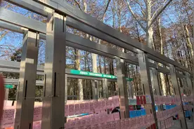 老年人活跃在公园相亲角：有人渴望跟年轻人一样恋爱，有人只求搭伙过日子图片