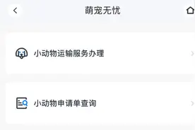 专人看顾托运的宠物、实时查询行李动态、申请免费的易碎品包装材料……这波乘飞机的新服务了解一下图片