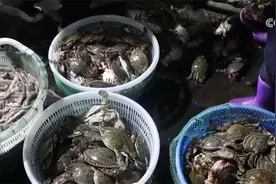 新年尝“鲜” 2025年第一波海鲜上市丰富消费市场图片