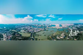 国际爱鸟日策划｜比爱豆还有梗！谁是惠州“鸟咖C位”？图片