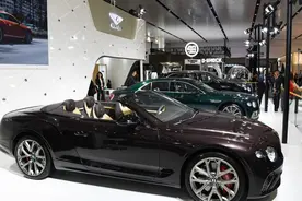 专访丨中国仍是英国车企关键市场——访英国汽车制造商和贸易商协会首席执行官霍斯图片