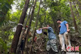 广东完成2024年森林草原湿地荒漠化普查样地调查图片