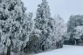 司机速看！雨雪侵袭，长沙最新路况来了图片