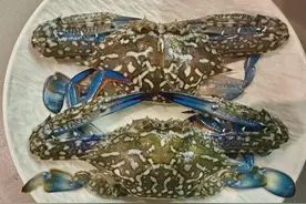 【杨柳科普】降尿酸饮食指南：如何吃才能让痛风远离您图片