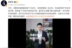 鸿蒙5终端数量突破千万，余承东宣布抽奖百台手机感谢用户图片