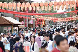 千年花事今更艳——洛阳牡丹催生文旅消费新图景图片