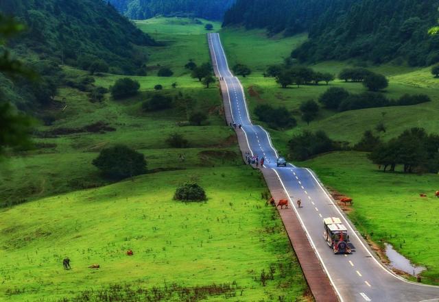 重庆首发五条特色漫游消费路线 邀你共赏山城烟火