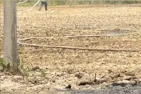 河南安徽山东农户讲述干旱：花生地已浇4遍，吃饭睡觉都在地里图片