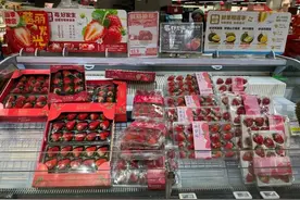 冬季草莓大量上市，市民开启“莓”好时光图片