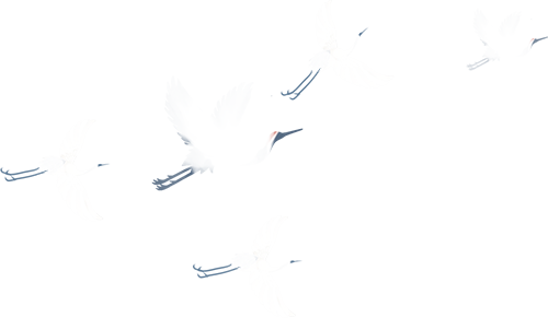 清明假期不闭馆‼️但这天别跑空哦～