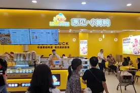 “遇见小黄鸭”爆雷，投资人亲述入坑经历 警方正收集案件材料｜追踪到底图片