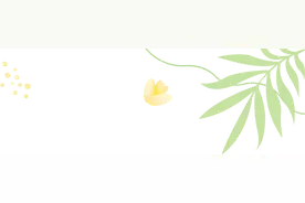 视频会员、加油满减、乘公交五折……“娘家人”送福利啦！速戳→图片