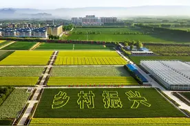 双向奔赴——济源城乡融合和乡村振兴奋勇争先图片