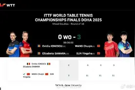 对手因伤退赛，莎头组合直接晋级8强图片