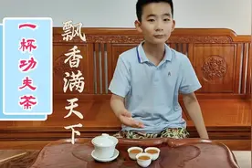 丁鸣：一杯功夫茶，飘香满天下图片