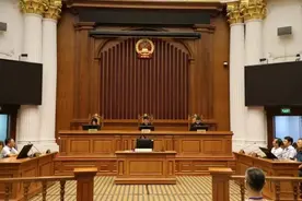 “男子打球被猫绊倒投喂者判赔24万”再审宣判！法院改判球馆承担主要责任图片