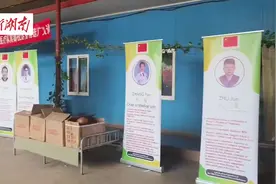 中国（湖南）第20批援津医疗队在中非洺玚矿山义诊图片