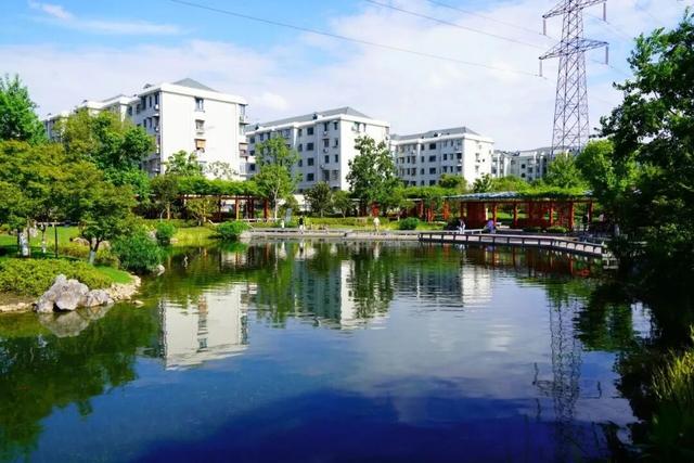 凭实力出圈！静安这座“宝藏公园”获国家级“儿童友好”认证！树屋、滑梯、秋千……太好玩啦