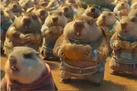 土拨鼠憨萌可爱，但养它有风险！气温升高宠物咬伤风险也在增加图片