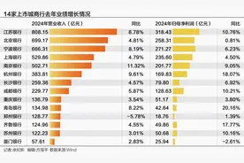 14家上市城商行去年业绩“谁与争锋”图片