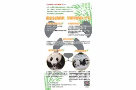 最近，纷纷宣布生了！只怀孕5个月 | 南都新知图片