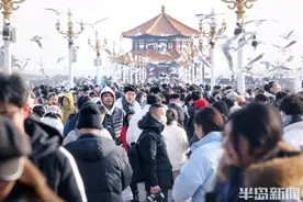 青岛：栈桥人旺，海边赏鸥图片