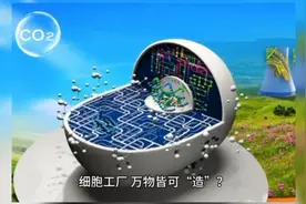 新知｜细胞工厂，万物皆可“造”？揭秘神奇的“微生物打工仔”图片