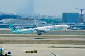 空中文化使者！“上博号”彩绘大飞机今日启航图片