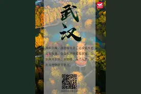 面向全国退役军人免票、半价！湖北优待项目汇总→图片